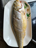 GUO LIAN國聯(lián) 三去黃花魚2條 共凈重2斤國產(chǎn)寧德東海大黃魚 海鮮水產(chǎn)生鮮 曬單實拍圖