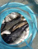超聲波誘魚(yú)器聲納探魚(yú)太陽(yáng)能水下聲波釣魚(yú)神器瘋狂來(lái)魚(yú)黑科技誘魚(yú) 一根【超聲波誘魚(yú)體驗裝】 曬單實(shí)拍圖