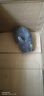 寵物侏儒兔子活物長(cháng)不大迷你兔兒童好養宿舍寵物兔荷蘭垂耳兔活體 19號灰色垂耳兔(公母備注) 曬單實(shí)拍圖