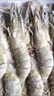 美加佳大號(hào)黑虎蝦 去冰凈重2斤 20-30只 燒烤大蝦 生鮮蝦類 曬單實(shí)拍圖
