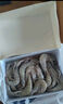 北海灣 厄瓜多爾白蝦 大蝦鮮活速凍鹽凍南美白蝦基圍蝦海蝦對蝦海鮮批發(fā) 【特大蝦 15-18cm】 3斤(凈重) 曬單實拍圖