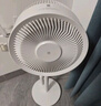 京東京造家用輕音3D搖頭空氣循環(huán)扇 直流變頻電風(fēng)扇 12檔大風(fēng)量空氣循環(huán)抗菌風(fēng)扇小程序智控 云卷 曬單實拍圖