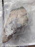 三人港俄羅斯細(xì)鱗壯鱈魚凈重900g鮮嫩多汁 可做鱈魚腸生鮮水產(chǎn)水鱈魚 曬單實拍圖