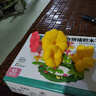 斯納恩（Snaen）兒童百變花園積木拼裝DIY插花束擺件6歲玩具男女孩兒童生日禮物 曬單實拍圖
