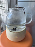 World Kitchen康寧養(yǎng)生壺 全玻璃恒溫壺煮茶壺煮茶器1L 辦公室熱牛奶神器保溫壺家用花茶壺?zé)畨仉姛崴畨刂笏畨?【標(biāo)準(zhǔn)款】+全玻璃蓋子 1L 曬單實(shí)拍圖