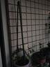 奔新農(nóng)爬藤架葡萄黃瓜豆角架種菜花支架庭院園藝花卉植物支撐桿西紅柿架 粗8mm長(zhǎng)75cm10支 曬單實(shí)拍圖