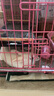 bunny nature幼兔專用糧營養(yǎng)主糧飼料德國進(jìn)口 高蛋白幼兔糧1.5kg 曬單實拍圖