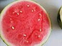 【產(chǎn)地直采】麒麟奶油西瓜 約4.5kg 曬單實(shí)拍圖