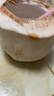 佳農(nóng)  泰國(guó)進(jìn)口椰青 4粒裝大果 單果900g+ 贈(zèng)開(kāi)椰器新鮮水果禮盒 包郵 曬單實(shí)拍圖