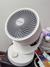 艾美特（AIRMATE）空氣循環(huán)扇家用節(jié)能小型落地電風扇四季循環(huán)對流換氣桌面小風扇大風量宿舍臺式搖頭輕音電扇 X28 曬單實拍圖
