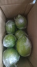 廣東香水檸檬新鮮檸檬茶生鮮鮮檸奶茶店專用檸檬水果產(chǎn)地源頭直發(fā) 【1斤】香水檸檬(單果50g+) 曬單實(shí)拍圖