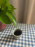九土復(fù)古粗陶品茗杯窯變主人杯單杯手工陶瓷小茶杯功夫茶具茶器 窯變綠 曬單實(shí)拍圖
