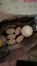 安熱沙（Anessa）【采銷直播間】倍護(hù)防曬乳親膚型60mL敏感肌粉金瓶七夕禮物 曬單實(shí)拍圖