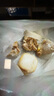 蘇泊爾輔食冷凍盒硅膠分格分裝盒冷凍格嬰兒輔食儲(chǔ)存獨(dú)立冰格KGF50CB10 曬單實(shí)拍圖