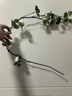 范爺家山茶花仿真花裝飾中式禪意仿真綠植客廳桌面擺件假花拍攝道具 曬單實拍圖