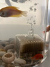 GEX日本五味水妖精生化過濾器迷你魚缸小魚缸吸便器水族箱過濾帶濾材 S號（25-40cm缸） 曬單實拍圖