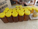 琉陽 大小八角蜂蜜瓶玻璃瓶 醬菜果醬瓶 密封罐 蜂蜜瓶 1斤裝黃蓋5個360ml 曬單實拍圖
