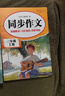 【2025新版】三年級上冊語文同步練字帖人教版 語文練字帖小學3年級小學生專用鋼筆生字帖上學期人教部編版練字每日一練教材課課練 【上冊】同步字帖+同步作文 曬單實拍圖
