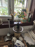 何首烏盆栽盆景老樁植物根球盆景爬藤植物中草藥植物盆栽盆景 80#何首烏（5年根球）20-30cm高 曬單實拍圖