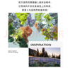 內(nèi)斯蒂丹特（NESTI DANTE）意大利進(jìn)口香氛沐浴皂手工香皂自然哲理精油皂香薰洗澡洗臉潔面皂 醒活煥新 250g 1塊 曬單實(shí)拍圖