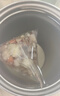 蘋(píng)果黃芪素顏水紅棗枸杞無(wú)花果麥冬養補女生顏氣泡水喝 蘋(píng)果黃芪水5g*15包三角包 曬單實(shí)拍圖