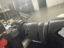 佳能（Canon）EOS R7微單相機(jī)APS-C畫(huà)幅照相機(jī)3250萬(wàn)有效像素 4K EOS R7單機(jī)(不含鏡頭) 標(biāo)配+32G卡+相機(jī)包 曬單實(shí)拍圖