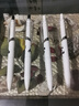得力（deli）可愛熊貓速干按動中性筆 高顏值0.5mmST筆頭學(xué)生中性筆刷題筆 黑色4支/盒 SA603 曬單實拍圖