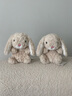 Jellycat米色甜美小兔小短腿公仔動物毛絨玩偶娃娃生日七夕情人節(jié)禮物 甜美小兔 One Size 曬單實拍圖