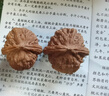 山中玉文玩核桃獅子頭四座樓蛤蟆頭三棱菱南疆石白獅子手把件七夕禮物 37-38mm南疆石1對+保養(yǎng)工具 曬單實(shí)拍圖