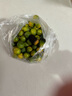 海南青金桔新鮮小金桔 1斤小果（5g-10g） 曬單實拍圖