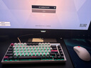 雷蛇（Razer）旋風(fēng)黑鯊V2專業(yè)版Pro 2.4G+藍(lán)牙 無線頭戴式電競游戲耳機(jī)耳麥 被動(dòng)降噪 白色 三角洲EQ調(diào)節(jié) CSGO 曬單實(shí)拍圖