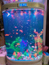 美之海送貨入戶美之海歐式雙圓形魚(yú)缸水族箱80生態(tài)1米大型中型落地家用 歐式 80*50*138cm 曬單實(shí)拍圖
