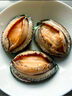 江船長(zhǎng) 冷凍鮑魚 凈重160g(18-22粒)袋裝 火鍋燒烤食材 海鮮生鮮 曬單實(shí)拍圖