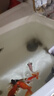 覓山海納米氣盤魚缸氧氣盤氣泡石魚缸霧化器 納米霧化氣盤【6cm 單氣盤】 曬單實(shí)拍圖