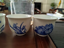 末都景德鎮(zhèn)陶瓷蘭花品茗杯手繪青花瓷功夫茶杯茶具白瓷茶盞小單杯 菊款【60ML】 曬單實拍圖