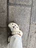 經(jīng)典云朵洞洞鞋夏季女鞋增高透氣沙灘鞋拖鞋涼鞋休閑CORCS CROCS 云朵骨白色 35 =W5（220mm） 曬單實拍圖
