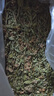 苜蓿草幼兔干草兔子糧食紫花豚鼠食飼料專用龍貓吃的兔糧提摩西草 紫花苜蓿草1KG箱裝(毛重) 曬單實拍圖