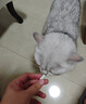 VETWISH唯特適布拉氏酵母益生菌狗狗貓咪幼犬腸胃軟便拉稀寵物專用 【貓用】布拉迪益生菌30粒 曬單實(shí)拍圖