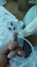 小熊（Bear）燒水壺 電熱水壺 電水壺家用 2L大容量 304不銹鋼雙層防燙2100W極速燒水 ZDH-F20H3 曬單實拍圖