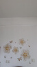 自粘3d立體碎花朵墻貼紙墻上裝飾墻面墻體補洞遮擋遮丑小貼畫墻壁 混色【雙層12只】 曬單實拍圖