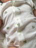 babylove嬰兒短袖連體衣夏季純棉網眼透氣寶寶衣服哈衣清新薄款爬服夏裝 曬單實拍圖