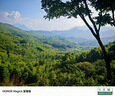 TELESIN(泰迅)適配insta360 ace pro2 ND濾鏡減光鏡cpl濾鏡套裝 ND8/16/32/CPL濾鏡套裝 肖特材質(zhì) 曬單實(shí)拍圖