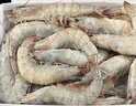 鮮京采 厄瓜多爾白蝦 凈重3斤/盒 特大號(hào)20-30規(guī)格   30-45只/盒 曬單實(shí)拍圖