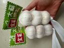 京鮮生&佳農(nóng)寶菜山東金鄉(xiāng)大蒜 200g蒜香濃郁調(diào)味必備源頭直發(fā)包郵到家 曬單實(shí)拍圖