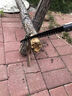 筏芯德國精工鋸樹神器折疊鋸手鋸特快伐木鋸鋸子家用小型手持手工劇木 【大號(hào)折疊鋸】德國SK5鋼 曬單實(shí)拍圖