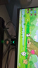 ANTGAMER螞蟻電競 24.5英寸2K300Hz顯示器 氧化物FastIPS 10Bit HDR400 1msGTG DIC技術護眼低藍光ANT253PQ 曬單實拍圖