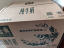 金典（SATINE）純牛奶 3.6g乳蛋白 120mg高鈣 牛奶整箱送禮 金典純牛奶250ml*16盒*2箱 6月產(chǎn) 曬單實(shí)拍圖