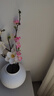 川燁小格調(diào)單枝桃花仿真花日式室內(nèi)餐桌花藝裝飾插花假花客廳擺設(shè)干花 淡粉/枝 曬單實(shí)拍圖