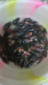 新鮮陽(yáng)荷姜【順豐包郵】貴州陽(yáng)荷新鮮現(xiàn)挖洋荷姜楊荷楊姜洋河鮮嫩 5斤（凈重）新鮮采摘產(chǎn)地直發(fā) 順豐包郵*泡沫箱+冰袋保鮮發(fā)貨 曬單實(shí)拍圖