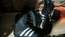 adidas BOX HOG 2拳擊運動鞋阿迪達斯官方FX0561 黑色/白色 42.5 曬單實拍圖